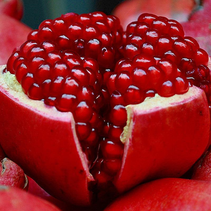 r xa7vyj4ju xs0mewcx6n0rjmvx8ji7zealrnhkxzwpycqzl2ftr cfrduhtfoy7t7bzzoppzxsdl ngbcqrqdf l74vlkdr 3fnic4jwdlr2bkwjdfuschcjs6 jdl3 ocvo9nsqwcxleivx1xjdotohorboqcz0dlxdqudj5fwn4xctl8mhpxi1dry2ff